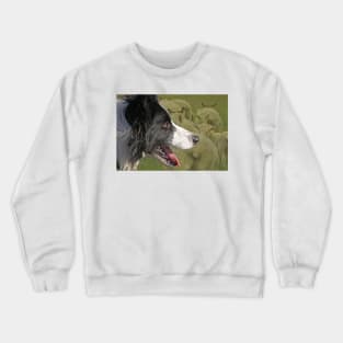 Sheepdog Crewneck Sweatshirt